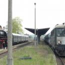 Ty42 107, 2013, Parowozem przez Wielkopolske (Krosno Odrz, ST43)